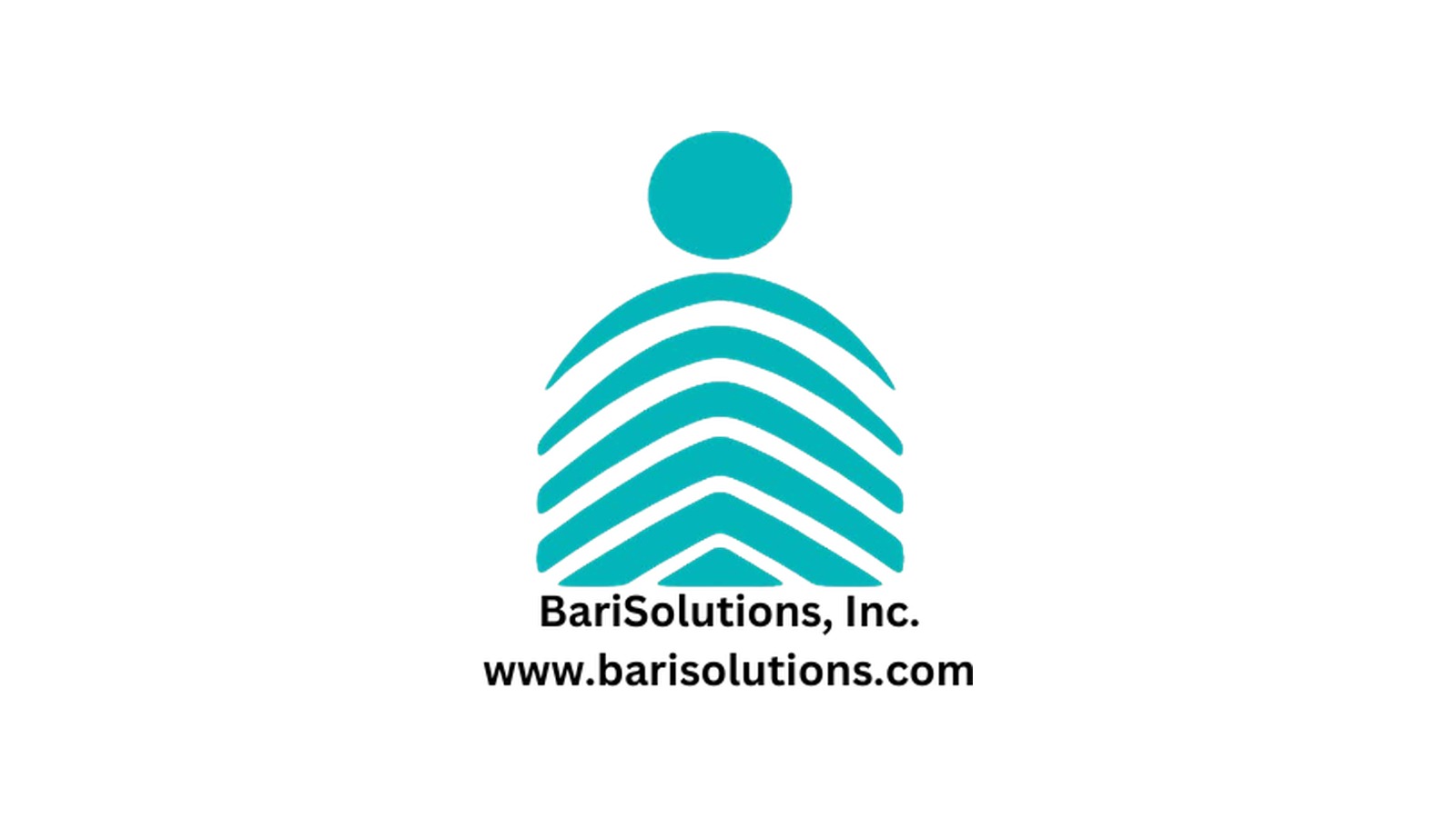 BariSolutions logo